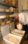 Cheese Making 30-08-01058