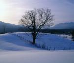 Scenery-Winter 70-30-05913