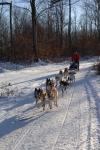 Sports-Dogsled 75-22-00273