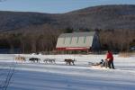 Sports-Dogsled 75-22-00275
