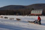 Sports-Dogsled 75-22-00276