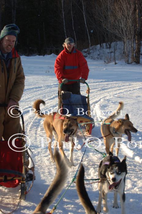 Sports-Dogsled 75-22-00297