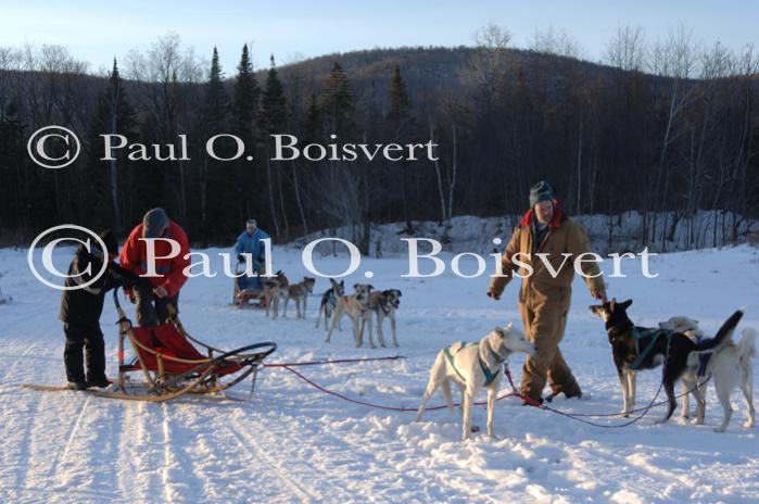 Sports-Dogsled 75-22-00321
