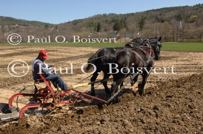 Billings Farm-Plowing Match 65-03-00031
