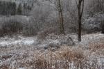 Scenery-Winter 70-30-05998