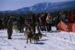 Sports-Dogsled 75-22-00006