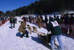 Sports-Dogsled 75-22-00033