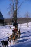 Sports-Dogsled 75-22-00145