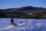 Sports-Dogsled 75-22-00185