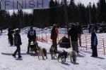 Sports-Dogsled 75-22-00259