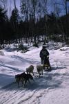 Sports-Dogsled 75-22-00266