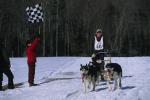 Sports-Dogsled 75-22-00269