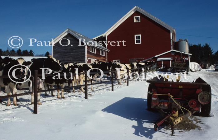 Farm-Winter 30-40-00220