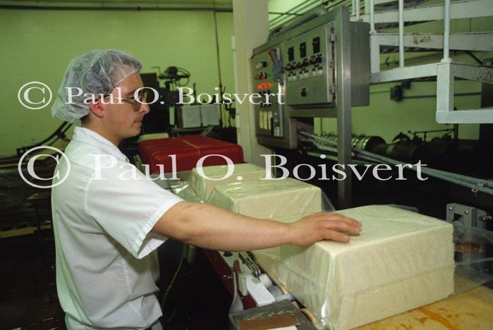 Cheese Making 30-08-00086