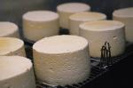 Cheese Making 30-08-00483