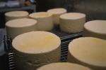 Cheese Making 30-08-00551