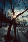 Scenery-Winter 70-30-00004